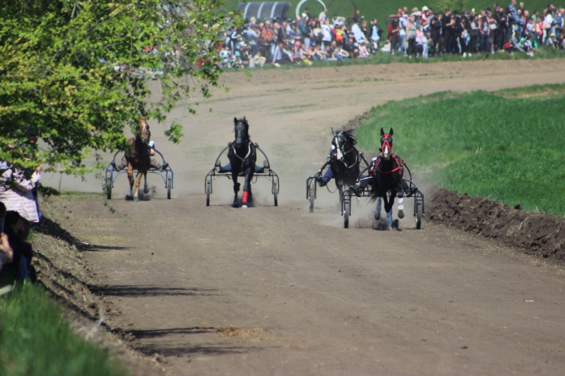Как в Чадыр-Лунге отметили Хедерлез (Фото)