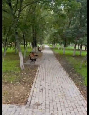 В парке Победы прокладывают электросети уличного освещения