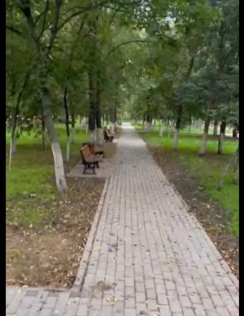 В парке Победы прокладывают электросети уличного освещения