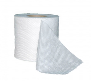 В парке Победы заработает платный туалет