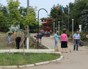 На призыв властей принять активное участие в субботнике мало кто откликнулся