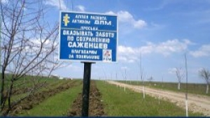 В городе появилась новая аллея