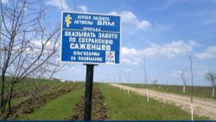 В городе появилась новая аллея