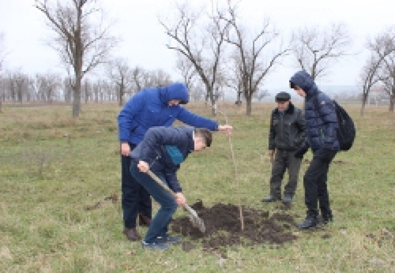 День озеленения прошел успешно