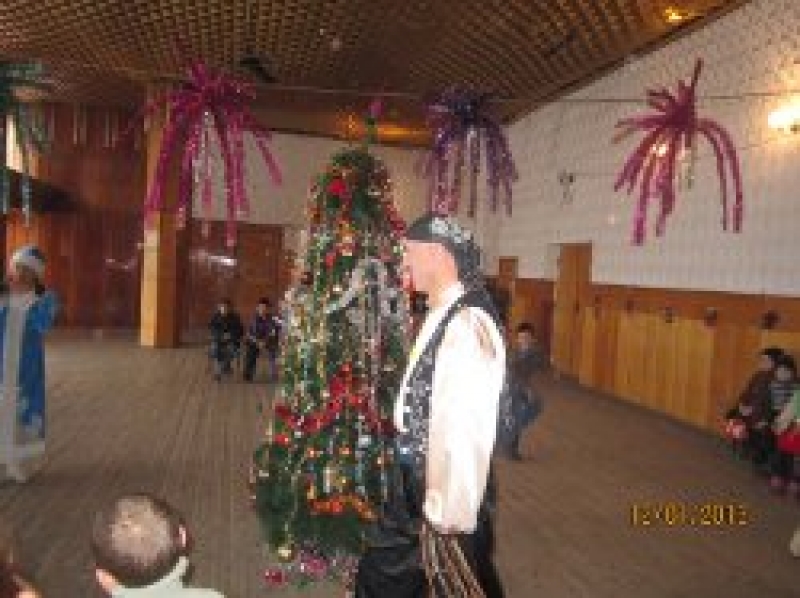 Новогоднее благотворительное представление