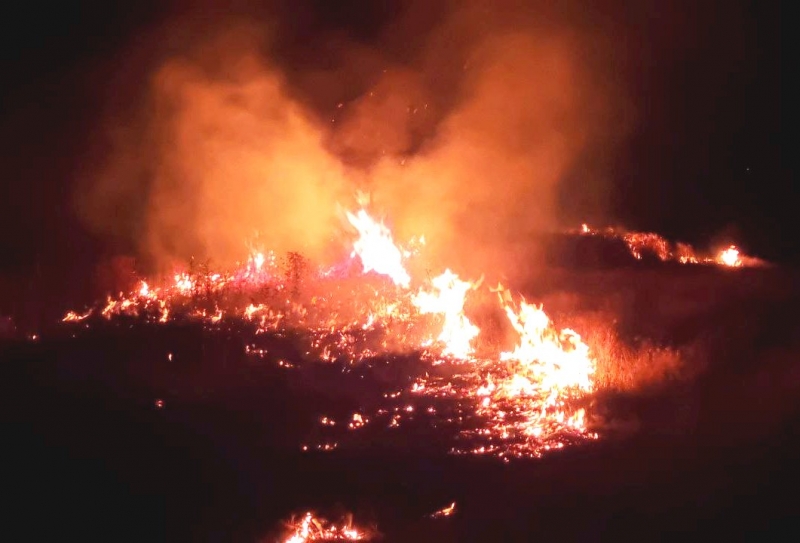 Предупреждение о погодных условиях: в Молдове объявлен жёлтый код пожарной опасности