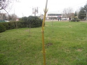 О хорошем и не только...