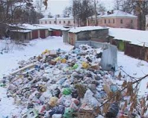 Мусор не вывозится: кто виноват и что делать?