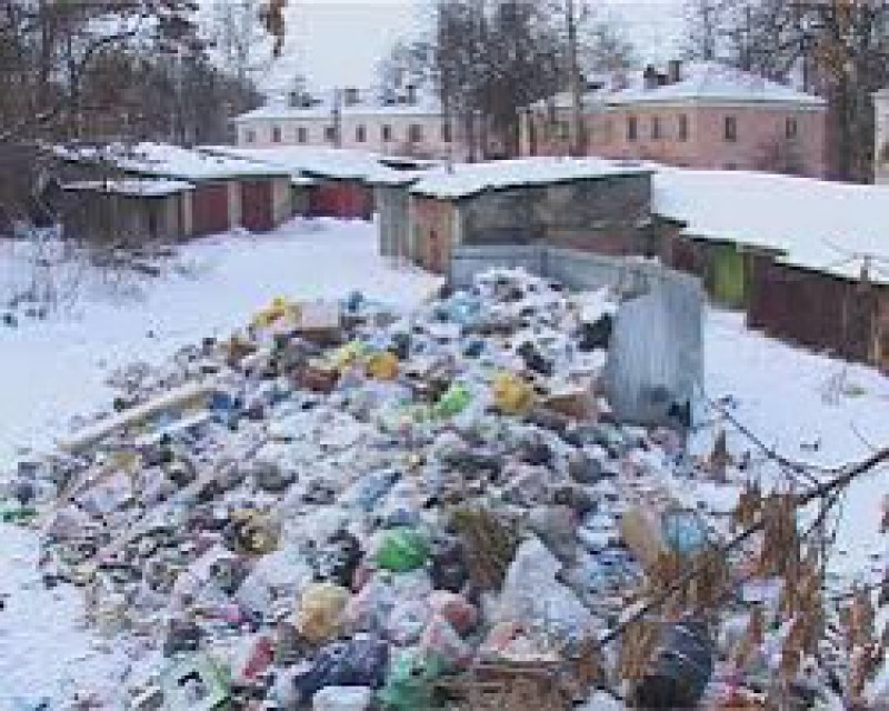 Мусор не вывозится: кто виноват и что делать?