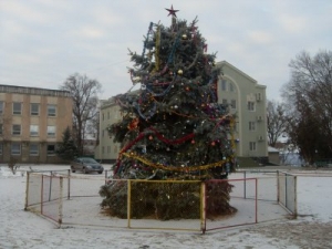 Городская новогодняя елка