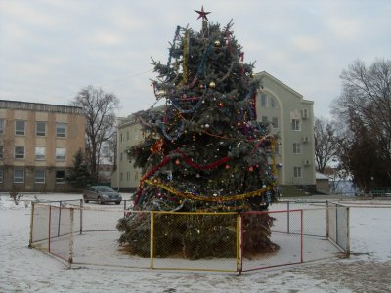 Городская новогодняя елка