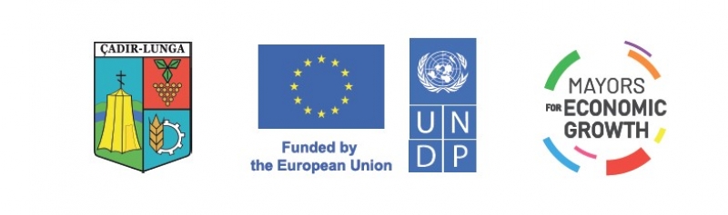 Представители бизнеса Чадыр-Лунги проинформированы о перспективах развития "зеленых технологий"