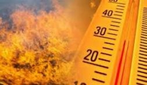 Жёлтый код пожароопасности в период с 5 по 15 сентября