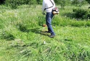 В Чадыр-Лунге в целях благоустройства территории муниципия произведут покос травы