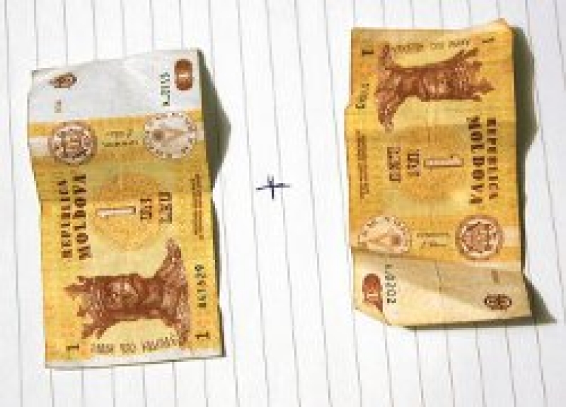 У трудовых мигрантов РМ и Гагаузии появилась возможность создать собственный бизнес