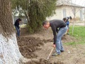 День озеленения в городе Чадыр-Лунга