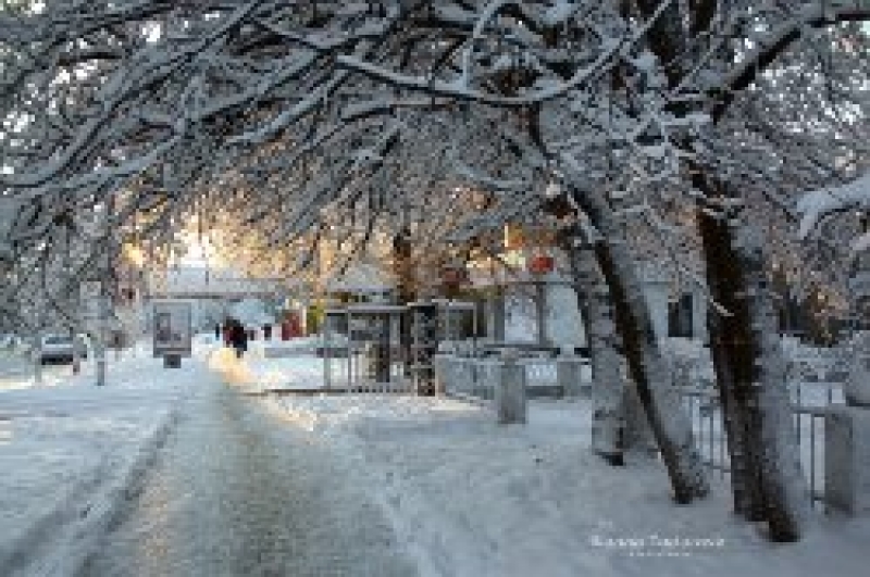 Ликвидация снежных заносов - это проблема только Примэрии и МП "ЖКХ"