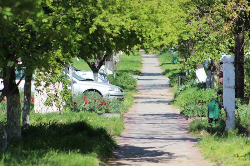 В Молдове объявлено предупреждение о заморозках до -3&deg;C