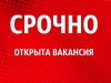 Кто ищет работу? Служба занятости населения поможет!