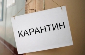 А.Топал: "Очень надеюсь, что наши соседи нас поймут. Мы должны минимизировать риск заражения"