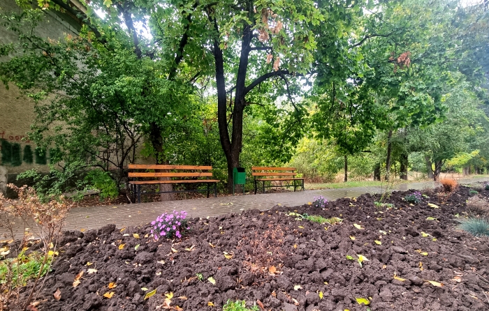 В Молдове объявлен желтый код из-за заморозков