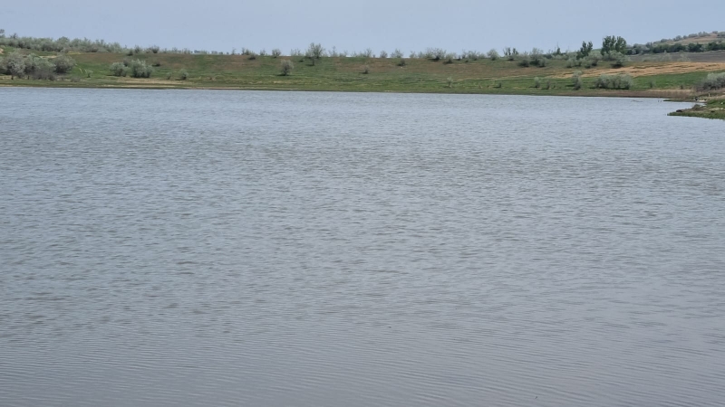 Вниманию родителей! Правила поведения на воде