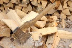 Городской Совет принял решение о рубке лесополос