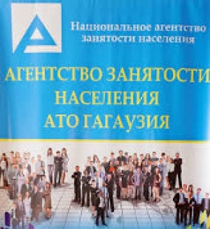 Что нужно знать о миграции и мигрантах