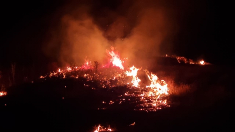 В Молдове сохраняется высокая угроза природных пожаров