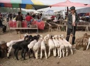 Рынок живности повторно выставлен на аукцион