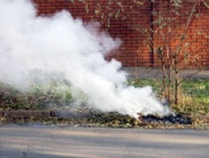 Сжигание листвы наносит вред здоровью