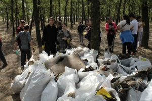 Одни мусорят, другие убирают. Как молодежь очистила дубовую рощу от мусора
