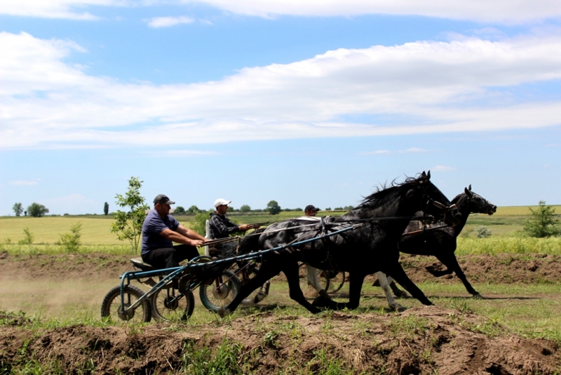 Поздравляем с Хедерлезом!