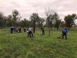 Местные власти Чадыр-Лунги и ОО "Essedis" приглашают жителей принять участие в экологической акции