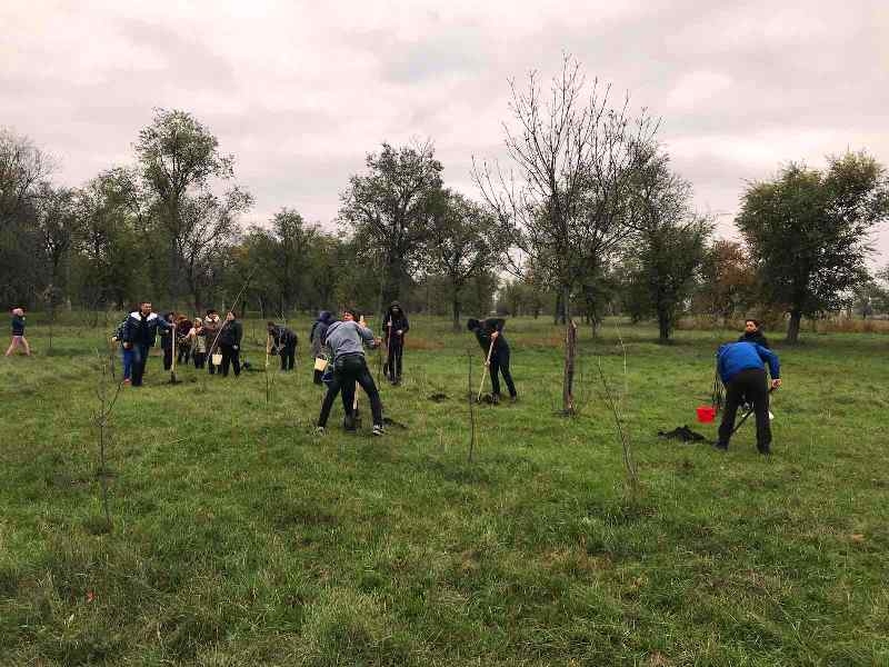Местные власти Чадыр-Лунги и ОО "Essedis" приглашают жителей принять участие в экологической акции