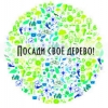Городской питомник бесплатно отпускает саженцы деревьев