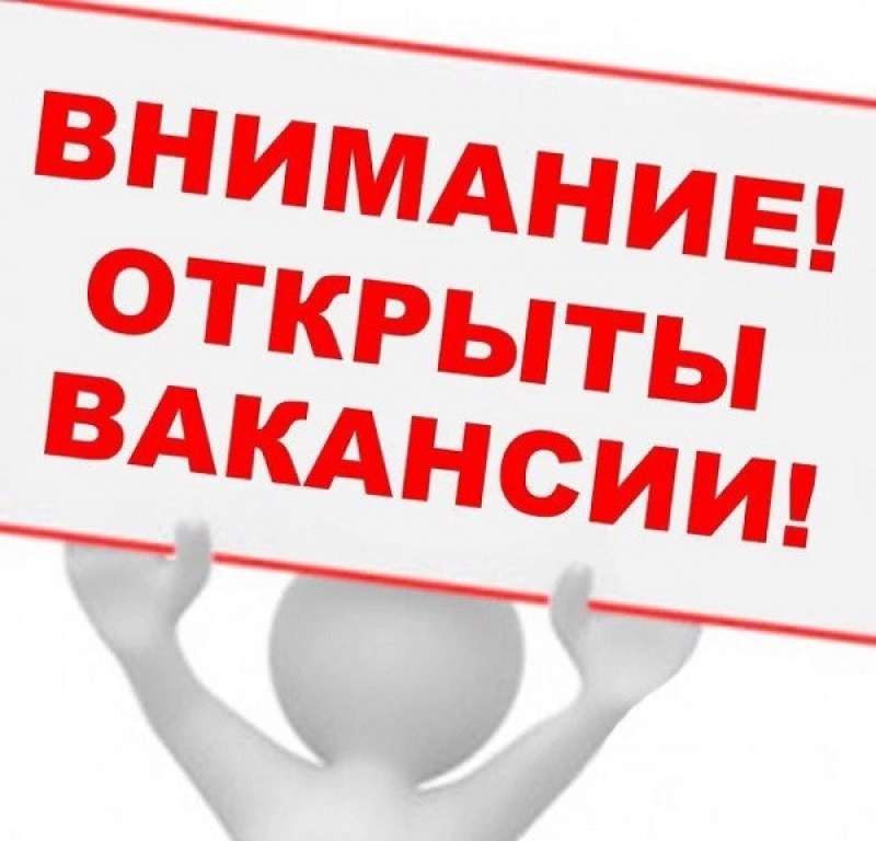 Служба занятости населения Чадыр-Лунги информирует граждан о наборе сотрудников в Компанию "ERICH JAGER MOL SRL"