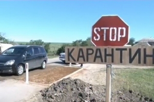 STOP! Африканская чума свиней!