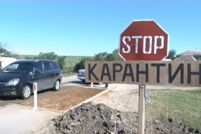 STOP! Африканская чума свиней!