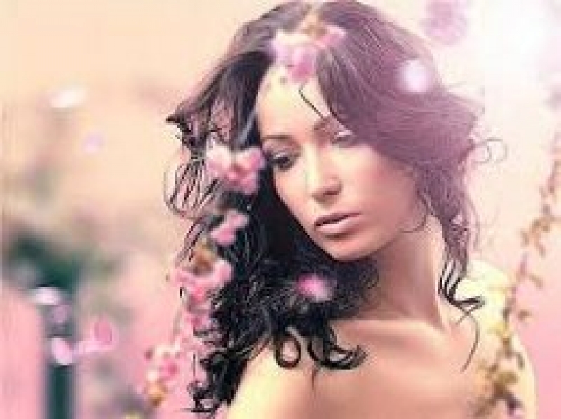 Эти замечательные миссис - 2013