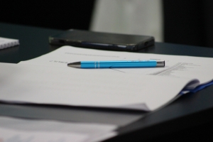 В Чадыр-Лунге пройдет прием граждан депутатом Парламента Ингой Сибовой