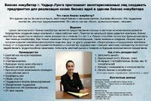 Бизнес - инкубатор г.Чадыр-Лунга приглашает резидентов