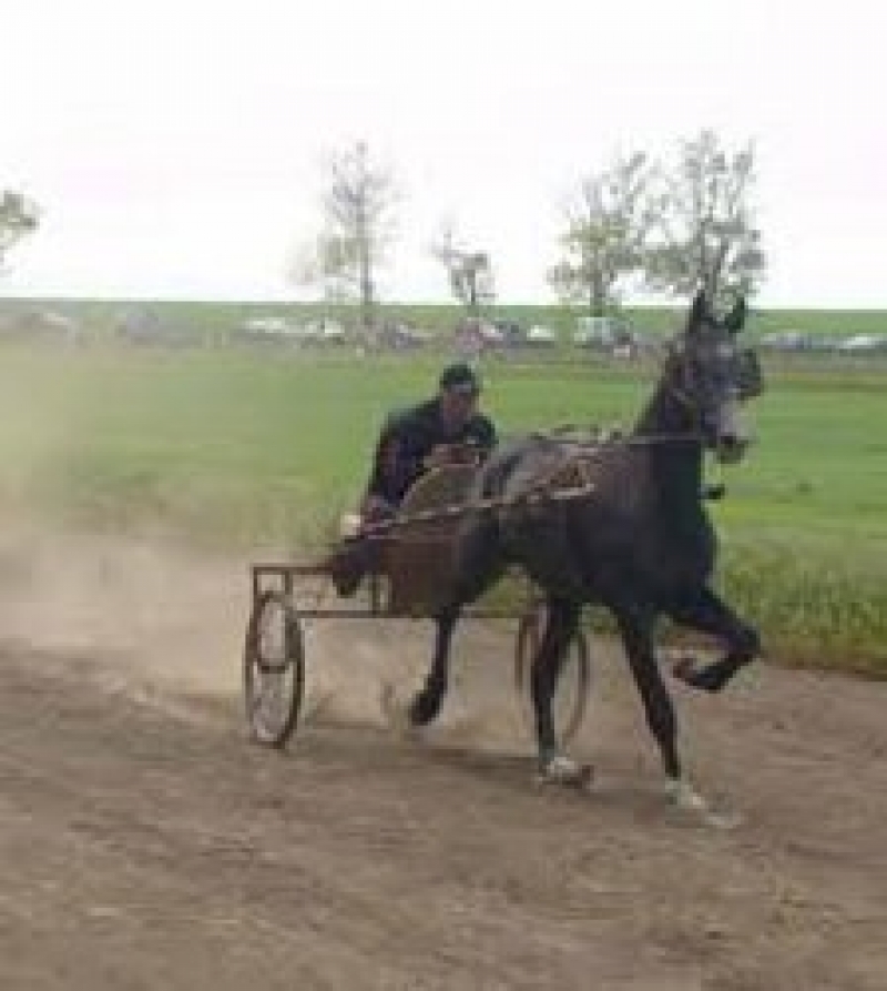 ХЕДЕРЛЕЗ - наш праздник!