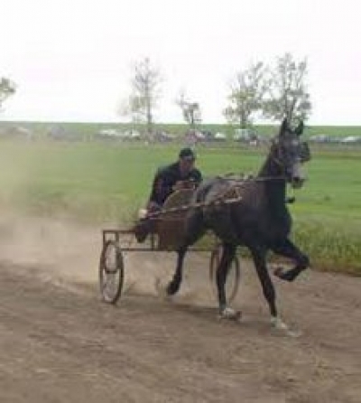 ХЕДЕРЛЕЗ - наш праздник!