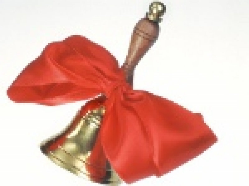 Чадыр-Лунга отметила День знаний