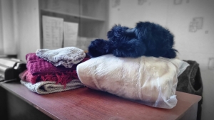 В Чадыр-Лунге открыт пункт сбора средств для жителей Турции