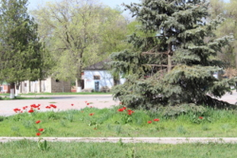 В Чадыр-Лунге ведется работа по благоустройству города