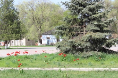 В Чадыр-Лунге ведется работа по благоустройству города
