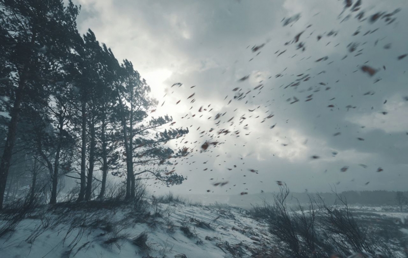 Внимание! Ожидается усиление ветра &ndash; объявлен желтый код