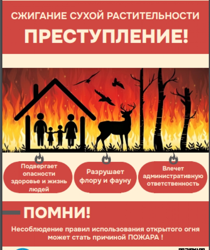 Сжигание сухой растительности - преступление!